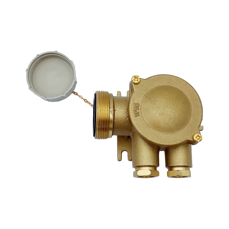 Scatola di giunzione per terminali a filo impermeabile con guaina per cavi di alimentazione-CZH209-3