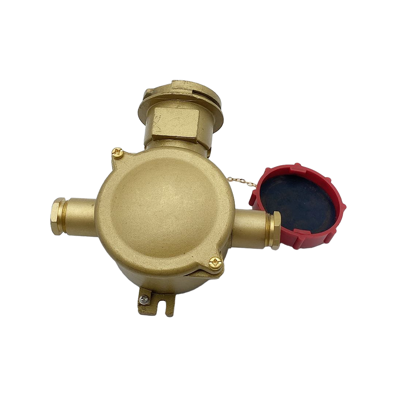 Presa elettrica in ottone con interruttore di interblocco-CZS3-2 1I4